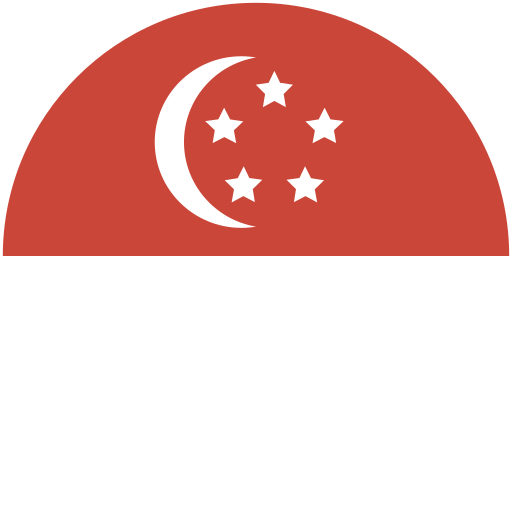 singapore flag