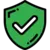 secure shield icon